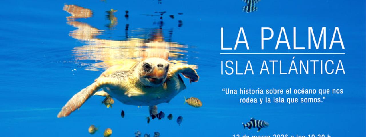 La Palma vuelve a mirar al oc&eacute;ano que la cre&oacute;