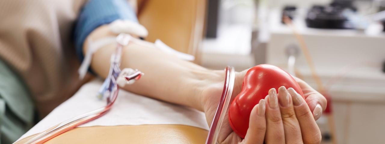 Canarias registr&oacute; 59.106 donaciones de sangre y af&eacute;resis en 2025 y mantiene la autosuficiencia del sistema de hemodonaci&oacute;n