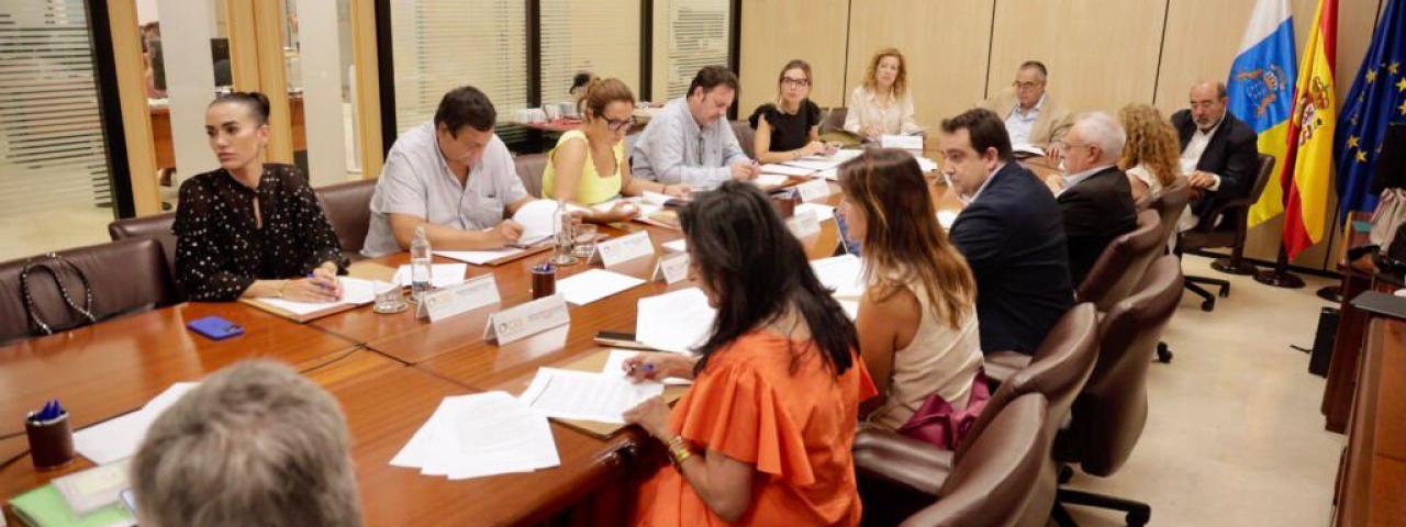 El CES avala la Ley de Movilidad Sostenible de Canarias y pide adaptar la regulaci&oacute;n a la realidad como territorio fragmentado