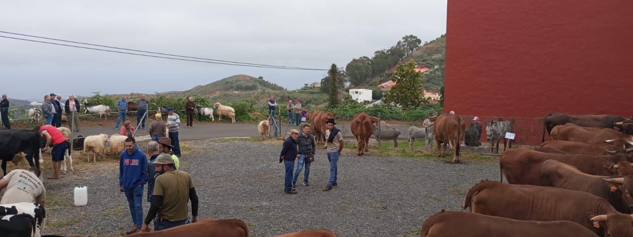 La Feria de Ganado de Monta&ntilde;a Alta se celebrar&aacute; este s&aacute;bado 28 de marzo