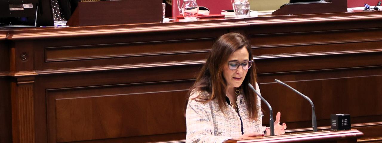 NC-BC denuncia que el Gobierno de Clavijo bloquea la mejora del nuevo decreto de dependencia Â  Â 