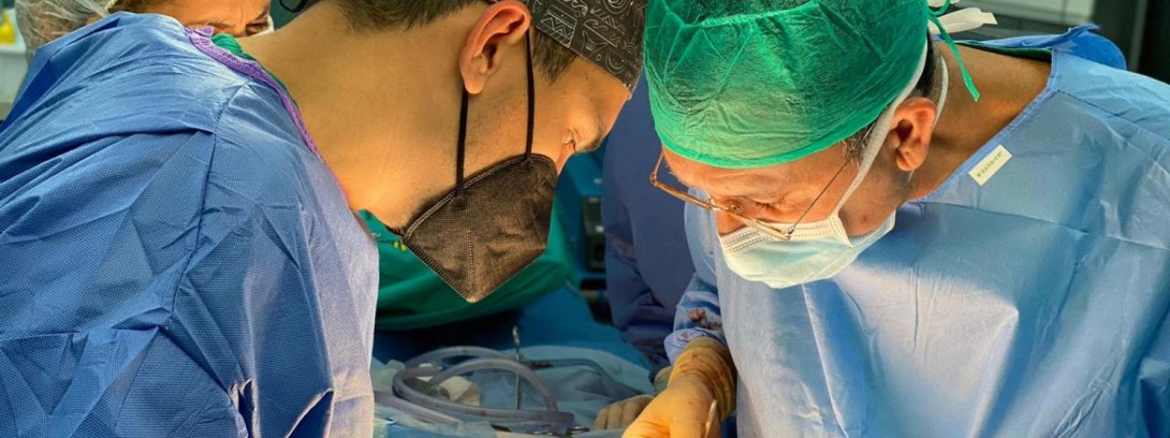 Los profesionales del SCS realizaron 209 trasplantes de &oacute;rganos en 2025