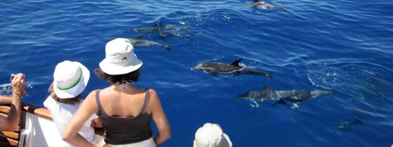 La Gomera cierra una temporada de invierno hist&oacute;rica con m&aacute;s gasto tur&iacute;stico y el 95% de ocupaci&oacute;n