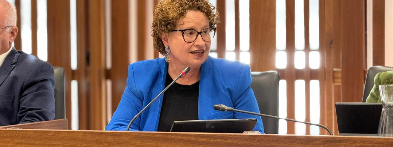 El Grupo Popular pide agilizar la apertura del Centro de Alzheimer de La Palma