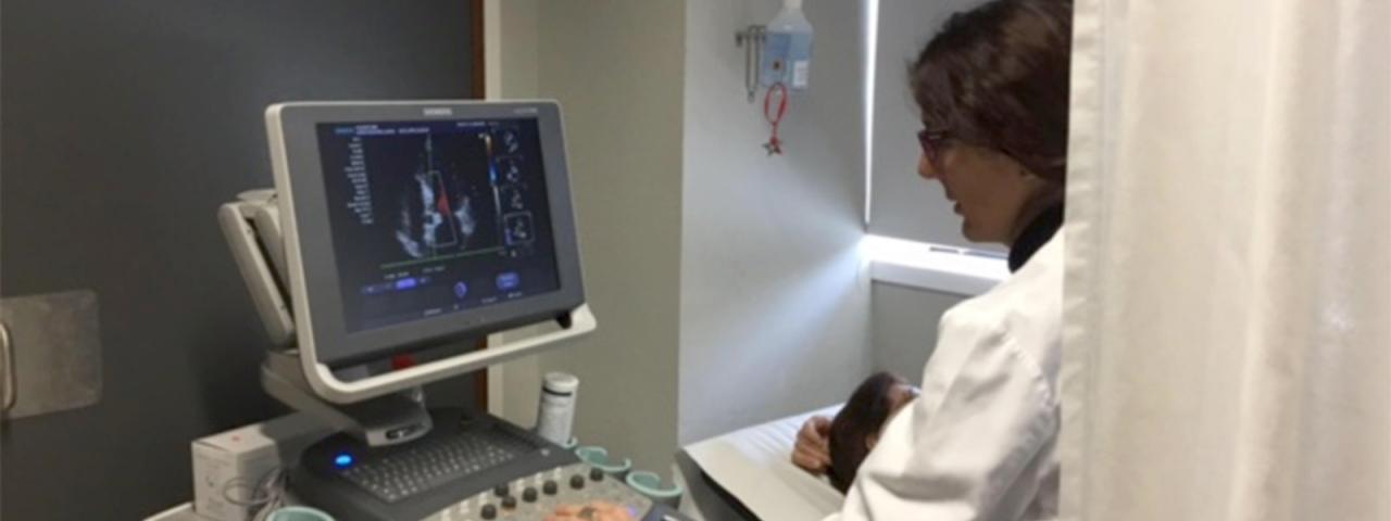 Sanidad adjudica 37 ec&oacute;grafos por m&aacute;s de tres millones de euros para hospitales del SCS