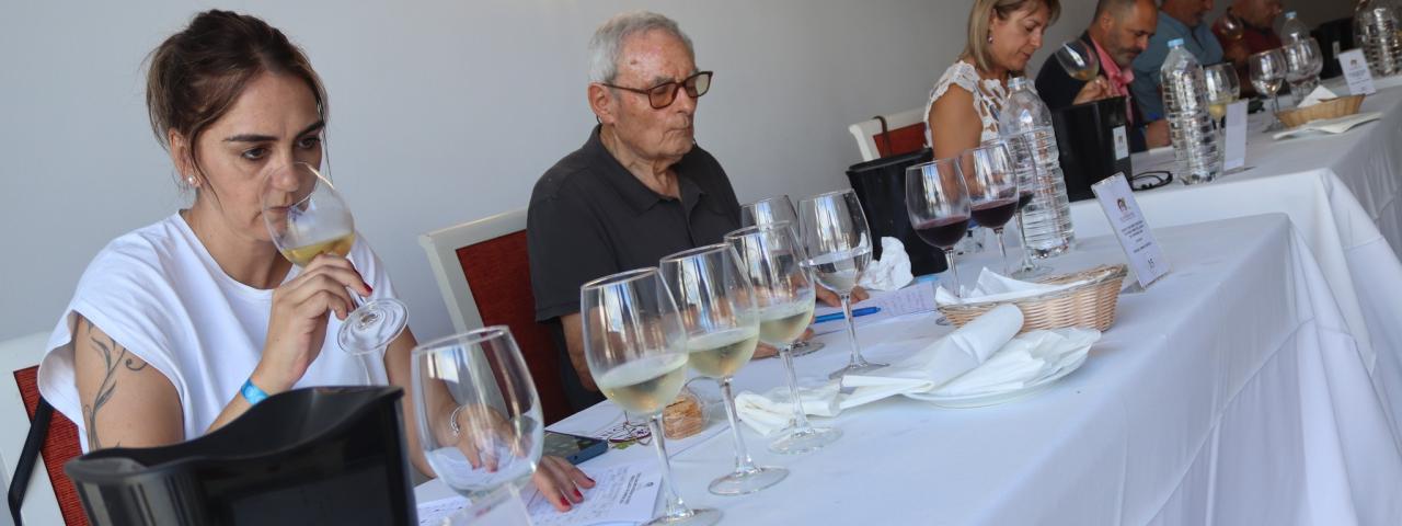 G&uuml;&iacute;mar ser&aacute; el municipio que acoja los d&iacute;as 27 y 28 de abril la fase de catas del 39 Concurso Regional de Vinos Alh&oacute;ndiga