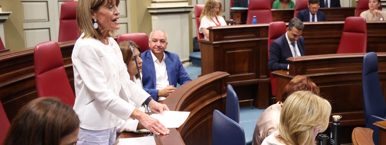 Esther González: "Más de 1.000 millones dejarán de destinarse a resolver los problemas de la ciudadanía