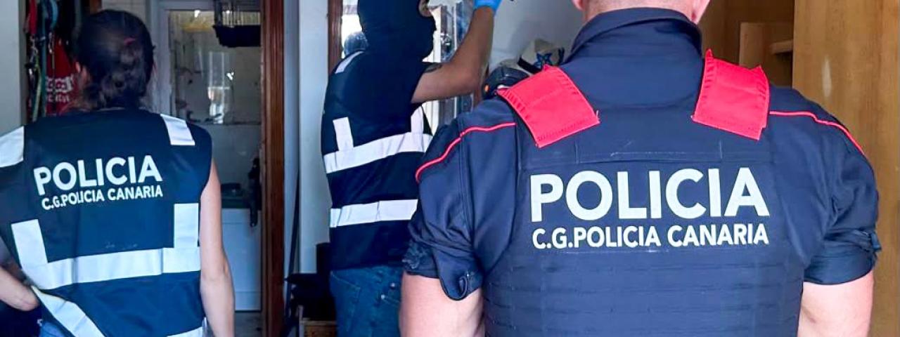 La Polic&iacute;a Auton&oacute;mica realiza 17 detenciones en una operaci&oacute;n dirigida por el Tribunal de Instancia 3 de Las Palmas de Gran Canaria