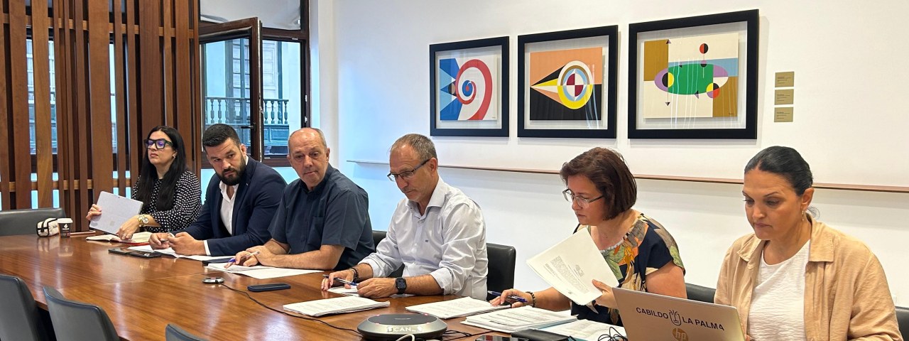 El Cabildo da luz verde a una nueva vivienda y ya supera las 1.250 autorizaciones