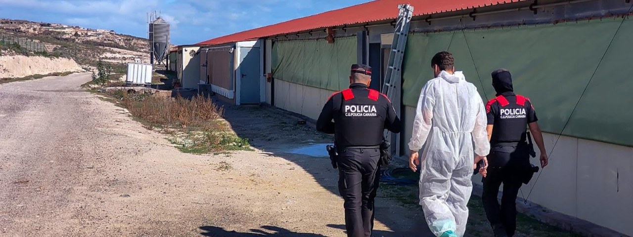 La Policía Autonómica detecta un vertedero ilegal con 8.000 metros cúbicos de residuos en Tenerife