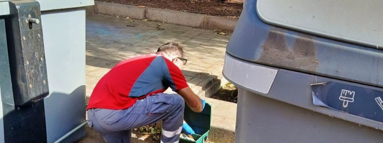 Santa Cruz programa una nueva campaña de control de plagas en los distritos Centro y Anaga
