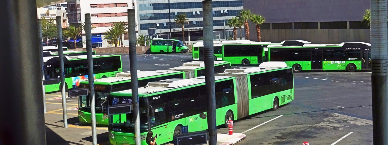 Servicio especial de guaguas por el Día de Todos los Santos en Santa Cruz