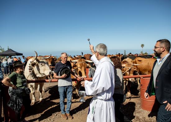 El barrio de San Juan prepara una nueva edici&oacute;n festiva en honor a San Antonio Abad