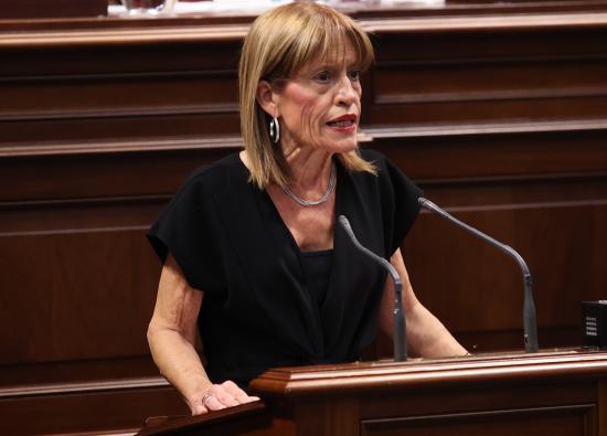 Esther Gonz&aacute;lez cuestiona la eficacia de las 51 medidas de CC y el PP para afrontar el reto demogr&aacute;fico