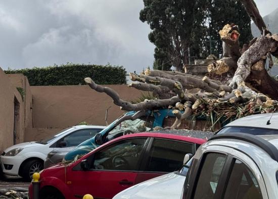 Ca&iacute;da del Drago de San Francisco