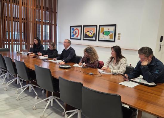 El Cabildo autoriza tres nuevos locales comerciales en Puerto Naos