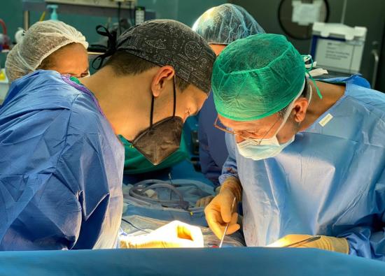 Los profesionales del SCS realizaron 209 trasplantes de &oacute;rganos en 2025