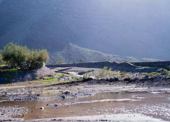 El Cabildo rebaja el PEIN a alerta y mantiene la aplicaci&oacute;n de medidas preventivas