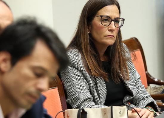 Santana se&ntilde;ala la incoherencia de CC que apoya la moratoria en Fuerteventura y la tumba en la C&aacute;mara