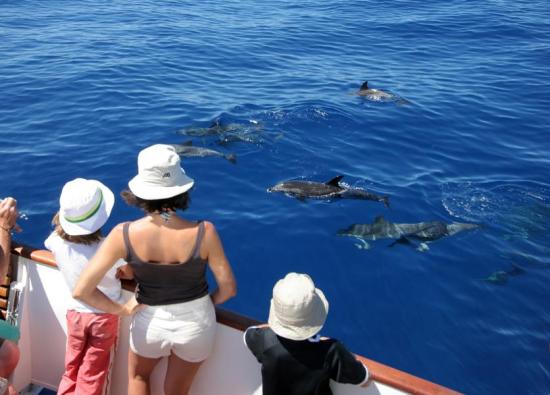 La Gomera cierra una temporada de invierno hist&oacute;rica con m&aacute;s gasto tur&iacute;stico y el 95% de ocupaci&oacute;n