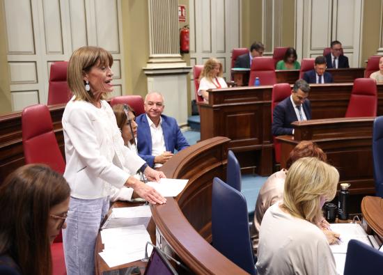 Esther Gonz&aacute;lez: "M&aacute;s de 1.000 millones dejar&aacute;n de destinarse a resolver los problemas de la ciudadan&iacute;a