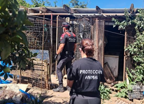La Polic&iacute;a Auton&oacute;mica detiene a un hombre tras localizar 16 perros en condiciones extremas en Tenerife