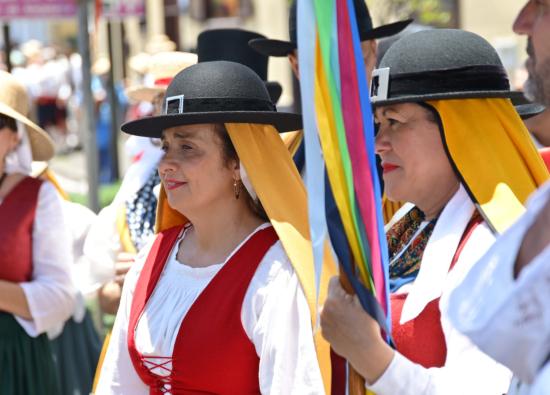 La Romer&iacute;a en honor a San Isidro Labrador reafirma el compromiso de Tacoronte con sus tradiciones