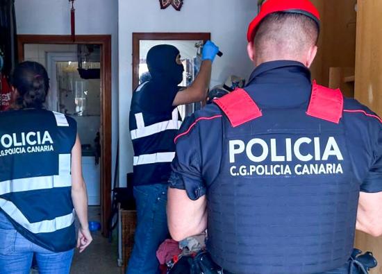 La Polic&iacute;a Auton&oacute;mica realiza 17 detenciones en una operaci&oacute;n dirigida por el Tribunal de Instancia 3 de Las Palmas de Gran Canaria