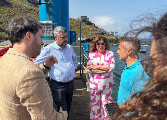 Gobierno de Canarias y Ayuntamiento consens&uacute;an mejoras para el entorno pesquero de El Pris
