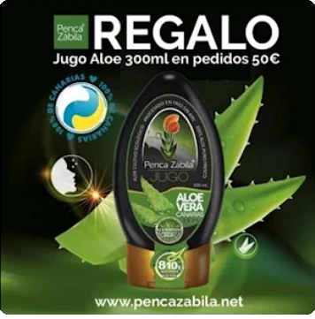 Penca Z�bila - Aloe Vera Canario